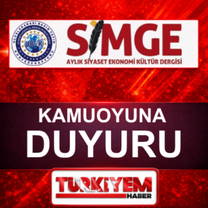 Pembe zarif bujiteri aksesuar logo tasarımı (2)