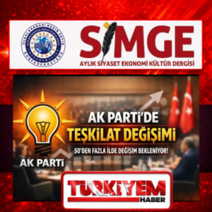 Pembe zarif bujiteri aksesuar logo tasarımı (4)