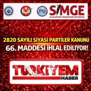 Pembe zarif bujiteri aksesuar logo tasarımı (6)