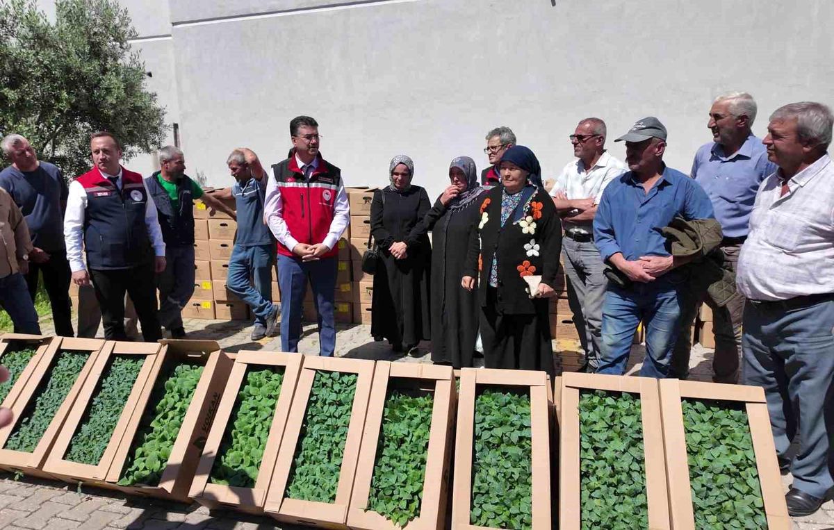 tekirdag-da-407-ureticiye-256-bin-yazlik-sebz-19899914_amp
