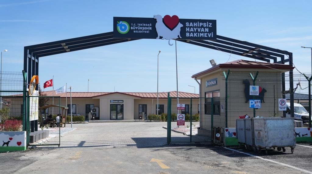TEKİRDAĞ'DA 5 BİNDEN FAZLA SAHİPSİZ HAYVANA UMUT OLDULAR