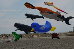 tekirdag-da-4-trakya-ucurtma-festivali-baslad-5-20087418_amp