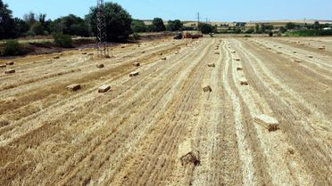tekirdag-da-balya-baglama-ile-acik-alanda-ate-2-20103595_amp