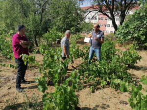 tekirdag-dan-kisa-kisa-20088541_amp