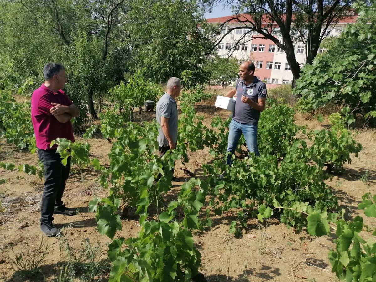 tekirdag-dan-kisa-kisa-20088541_amp