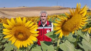 tekirdag-in-sari-tarlalarinda-bereketin-sirri-5-20119468_amp